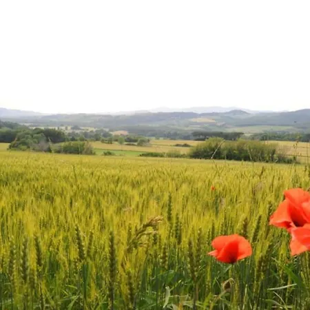 Tenuta Tegolaia *